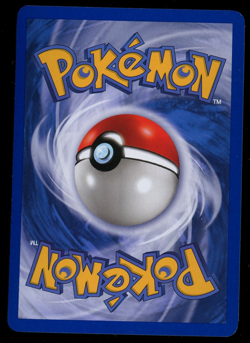 Pokemon 2002 Aquapolis - Exeggutor - Reverse Holo - 13 - Image 2