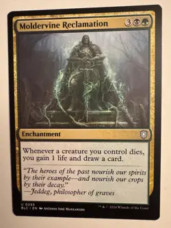 Moldervine Reclamation 0255 Non Foil Uncommon Bloomburrow Commander MTG NM - Image 1