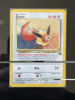 Pokemon Eevee Wotc Promo 11/53 Promo Basic Holo - Image 1