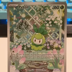 Petilil 091/086 NM Illustration Rare EN Pokemon TCG Black Bolt - Image 2