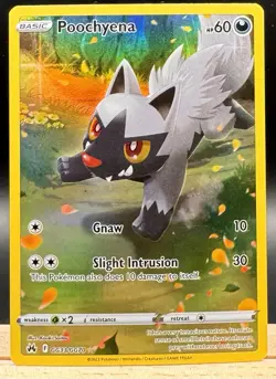 Poochyena GG33/GG70 Galarian Gallery Crown Zenith Pokemon TCG NM - Image 1
