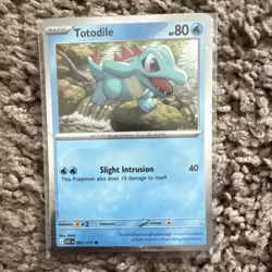 Pokemon TCG ASC 217 Card Lot Totodile Tepig Chikorita Nintendo English - Image 3