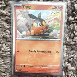 Pokemon TCG ASC 217 Card Lot Totodile Tepig Chikorita Nintendo English - Image 5
