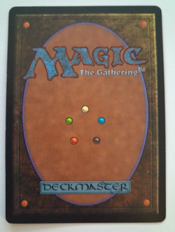 Plains LP MTG Magic the Gathering Beta Basic Land (A) - Image 2