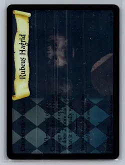 Harry Potter Base Set #18/116 Rubeus Hagrid Holo Card - Image 1
