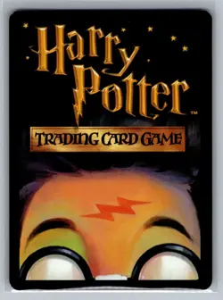 Harry Potter Base Set #18/116 Rubeus Hagrid Holo Card - Image 2
