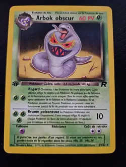 French Pokemon Lot Private Sale - Image 1