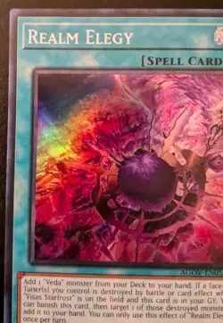 Realm Elegy AGOV-EN052 1st Edition Super Rare Age Of Overlord Yu-Gi-Oh! TCG - Image 2