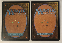 2x ABUNDANT COUNTRYSIDE - Reg & Borderless - Lorwyn Eclipsed Com - MTG Rare #22 - Image 2