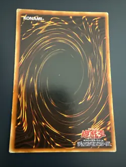 Yu-Gi-Oh | Widespread Ruin | P5-08 - Image 2