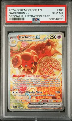 POKEMON STELLAR CROWN #169 DACHSBUN ex SPECIAL ILLUSTRATION RARE PSA 10 - Image 1
