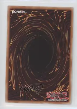 Spiritual Beast Tamer Winda 1st Ed. YuGiOh Raging Tempest #RATE-EN026 - Image 2