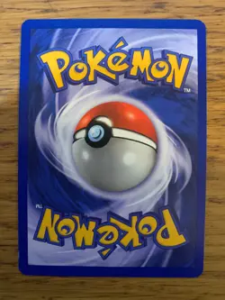 NEAR MINT! 1st Edition Suicune (14/64) Holo Neo Revelation Pokemon Card! - Image 2