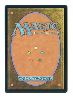 Evolving Wilds #0389 NM Final Fantasy FIN MTG Magic the Gathering - Image 2