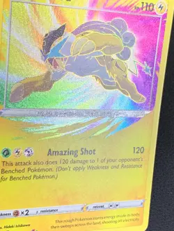 Raikou 050/185 Amazing Rare Holo Vivid Voltage Pokemon - Image 2