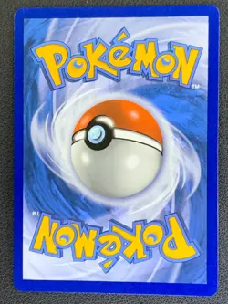 Raikou 050/185 Amazing Rare Holo Vivid Voltage Pokemon - Image 3