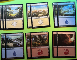 13 Red/White/Blue Lands Bloomburrow MTG NM/M Never Played - Image 1