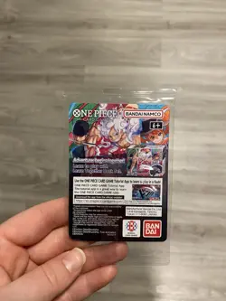 One Piece College Basketball US Voyage Monkey D. Luffy Card SEALED - Image 2