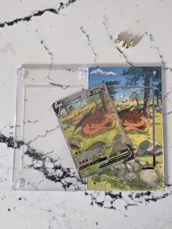 Charizard V SWSH260 SWSH: Sword & Shield Promo Cards With Custom Case - Image 3