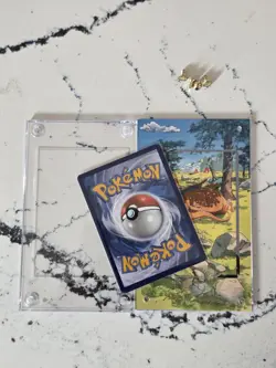 Charizard V SWSH260 SWSH: Sword & Shield Promo Cards With Custom Case - Image 4