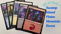 MTG 250 Basic Lands Lot 50 Each Plains Island Swamp Mountain Forest NM - Image 1