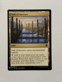 Path of Ancestry (PLST) C17-56 - Image 1