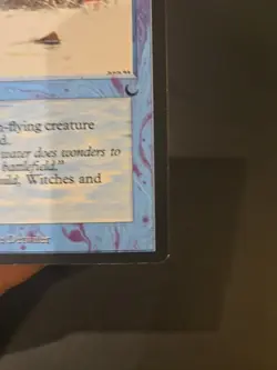 MTG (The Dark 1994) Flood Never Played Check Pics - Image 4