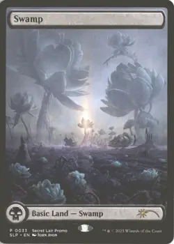 MTG Swamp (0033) *Non-Foil* MagicCon Secret Lair Lotus Land MT/NM John Avon - Image 1
