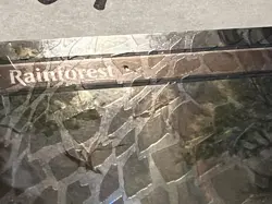 MTG Misty Rainforest Borderless, Dragonscale Foil, Special Guest Tarkir - Image 4