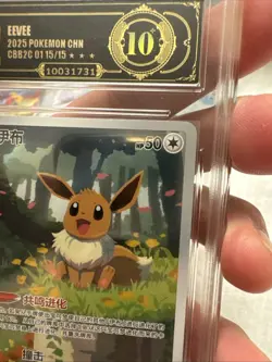 Pokemon TCG Exclusive Chinese Gem Vol.2 Eevee Holo 01 15/15 APH BLACK 10 - Image 5
