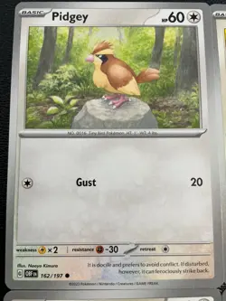 x6 pidgey pidgeotto pidgeot pokemon cards Lot Ex Holo Evolution Rare cute Bird - Image 2