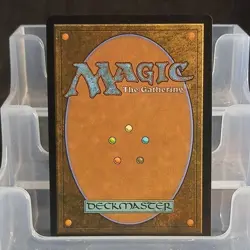 Magic: The Gathering Passionate Archaeologist Rare Full Art Regular M 2220 - Image 2