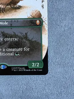 Badgermole Cub - TLA - 326 - Borderless - NM - MTG - Image 3
