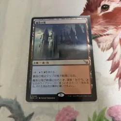MTG Thunderous Falls Magic the Gathering Trading Card Single - Image 1