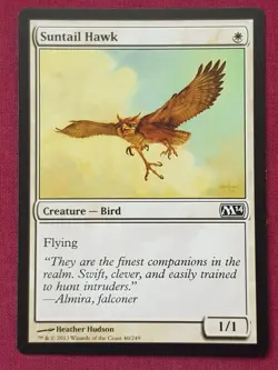Magic The Gathering 2014 CORE SET M14 SUNTAIL HAWK white card MTG - Image 1
