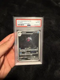 Pokemon Palafin 225/091 SV: Paldean Fates Illustration Rare Holo PSA 8 EN 2024 - Image 1