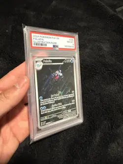 Pokemon Palafin 225/091 SV: Paldean Fates Illustration Rare Holo PSA 8 EN 2024 - Image 2