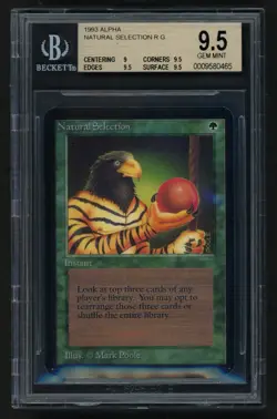 ***BGS 9.5 Alpha Natural Selection (VERY RARE Pop 12)*** MTG Magic Kid Icarus - Image 1