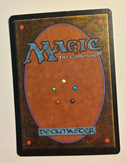 MTG Homelands Serra Paladin LP Common - Image 2