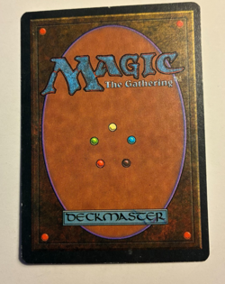 MTG Homelands Mesa Falcon LP Common - Image 2