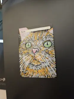 Hand Painted MTG Plains Orange Cat Alter - Image 1