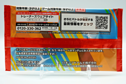 Pokemon Card McDonald's 2 Promo Pack Pikachu and Random card Japanese 2025 - Image 5