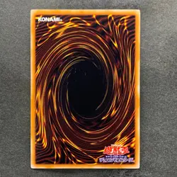 NM 3 card Blue-Eyes Ultimate Dragon CT09-JP001 Gold Rare YuGiOh 350 - Image 3