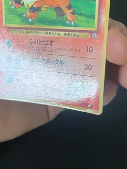 JAPANESE POKEMON BLAINE'S GROWLITHE No.058 PROMO COROCORO CANINOS - G/PL - Image 4