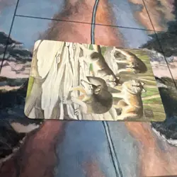 Grey Wolves - Alpha Ordinary Foil Sorcery: Contested Realm - Image 5