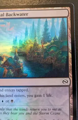 Dismal Backwater 0254 TDM Foil Land Tarkir: Dragonstorm Magic: The Gathering - Image 3