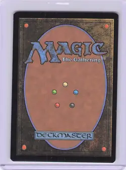 Stormcarved Coast Secrets of Strixhaven Foil R0263 - Image 2