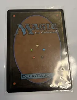 Mtg Multiversal Passage Foil - Image 2