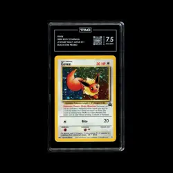 Pokemon TCG Eevee #11 Black Star Holo Promo Card 1999 WOTC - Image 1