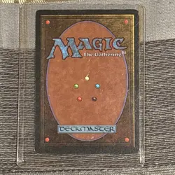 SAVANNAH #285 | Magic: The Gathering Revised Edition | RARE DUAL LAND - Image 2